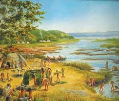 Land Acknowledgement