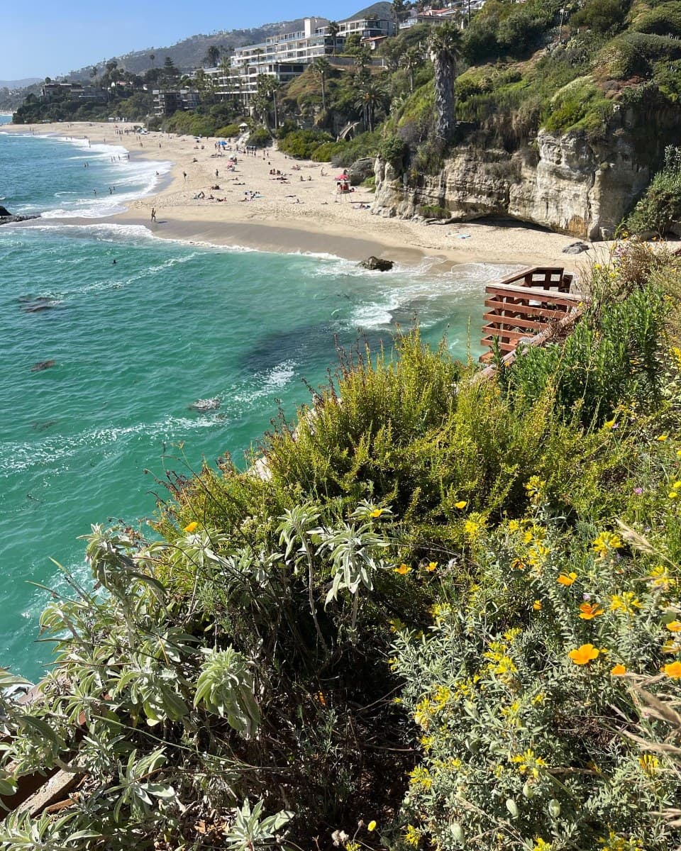Trestles Native Plants — June 28, 2024