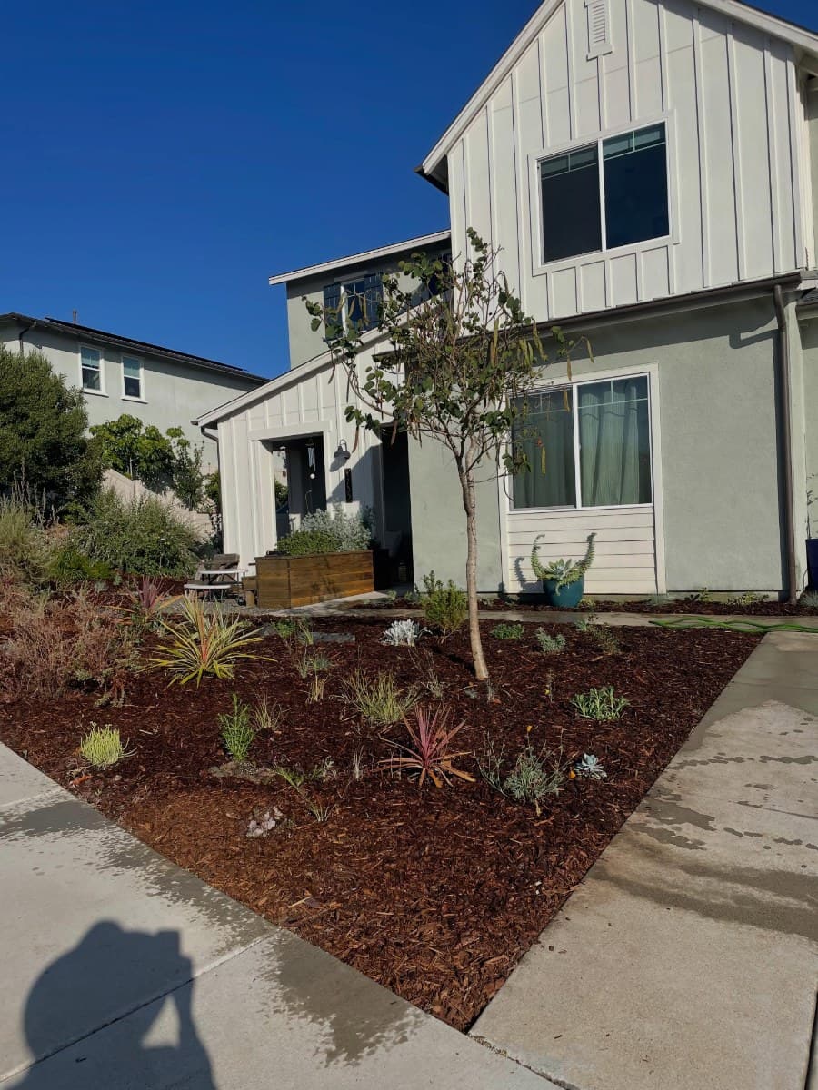 Trestles Native Plants — May 13, 2026