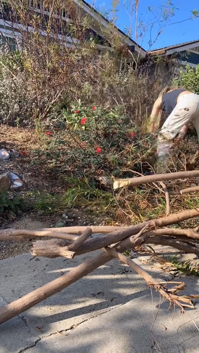 Trestles Native Plants reel