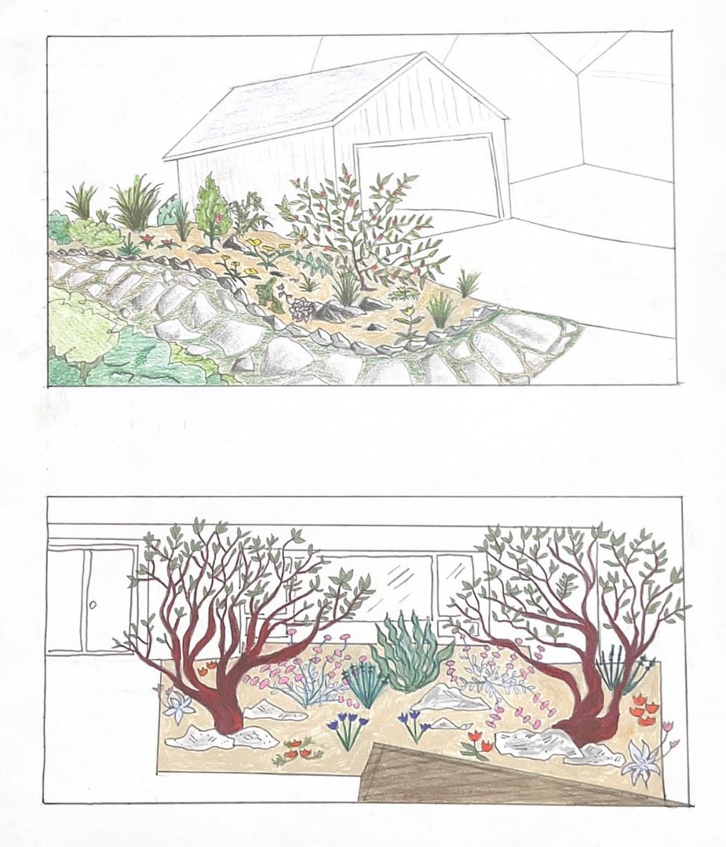 Trestles Native Plants — California native garden