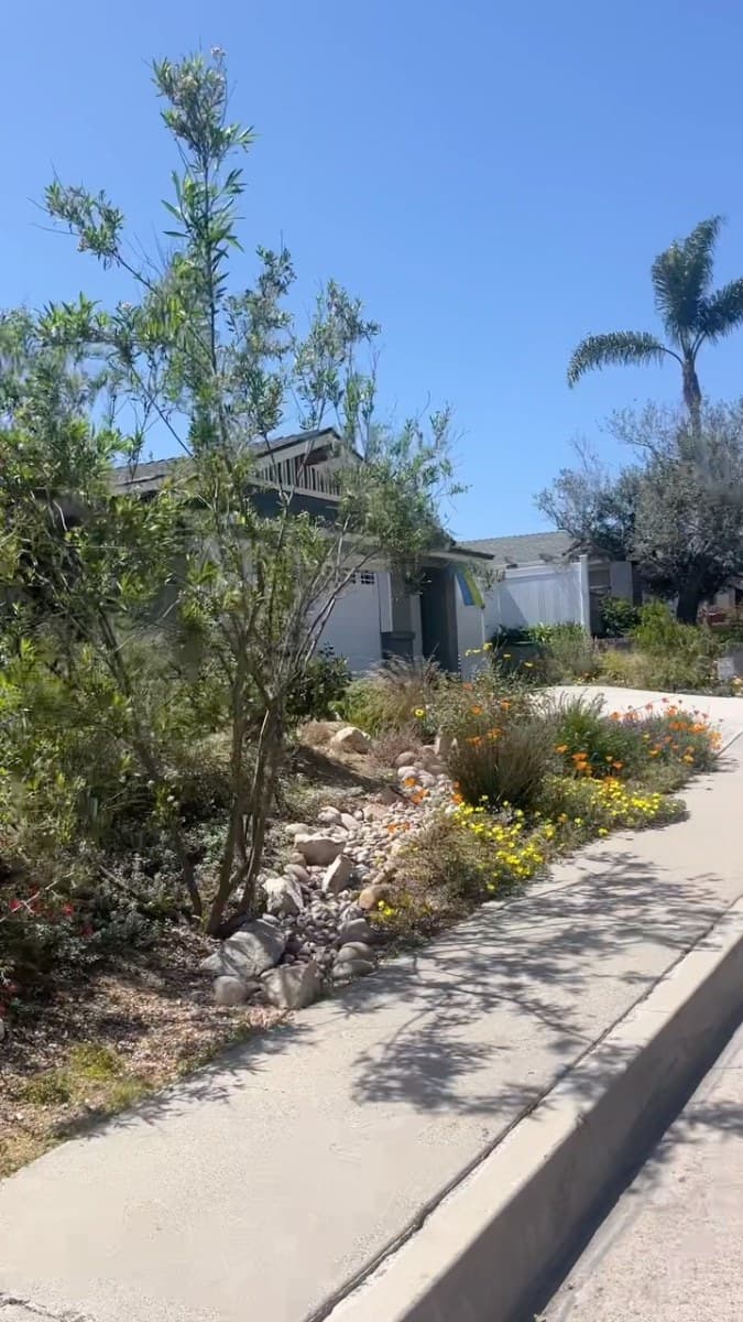 Trestles Native Plants — bloom season