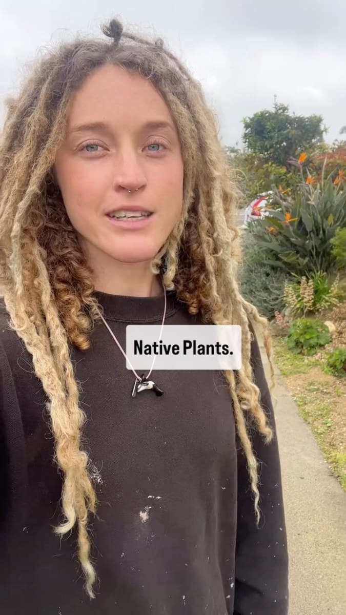 Trestles Native Plants — pollinator garden