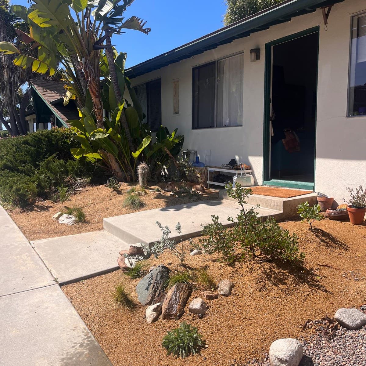 Trestles Native Plants — native plant project