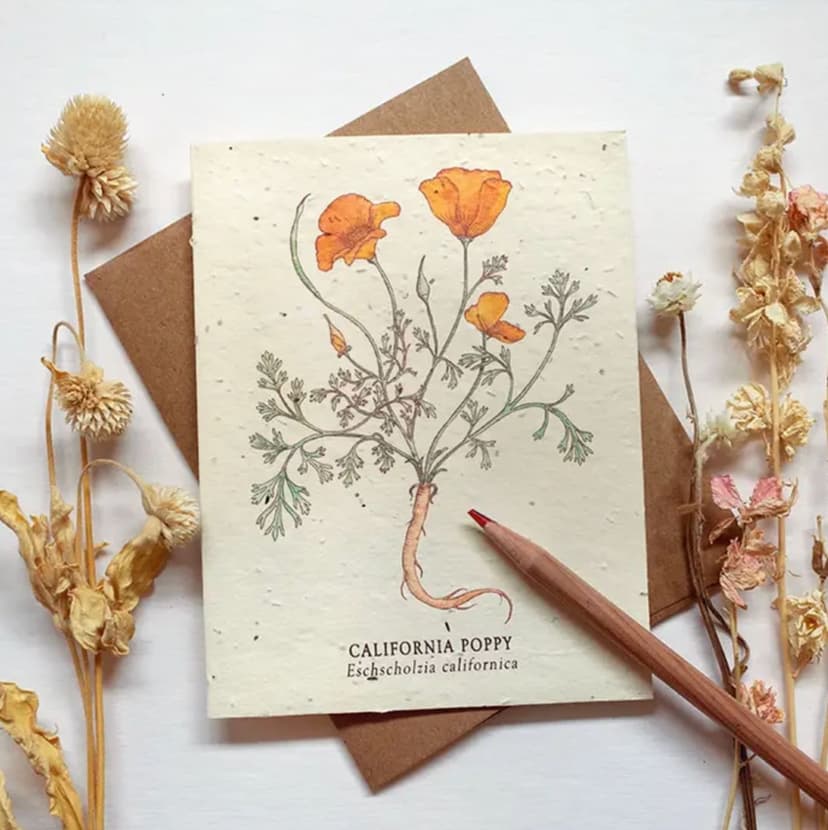 California Poppy Plantable Seed Paper