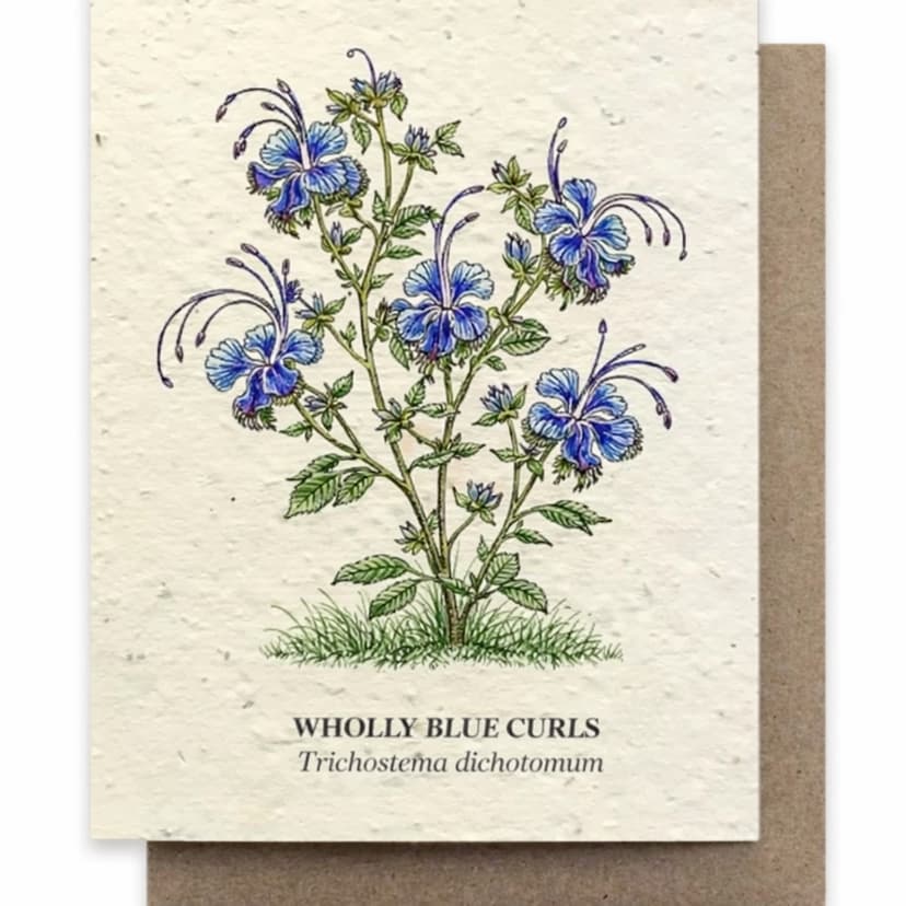 Wholly Blue Curls Plantable Seed Paper
