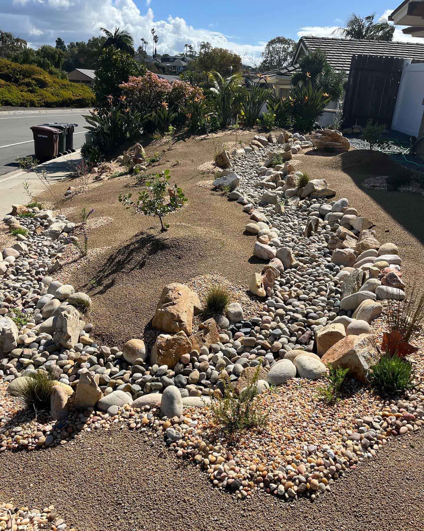 Shorecliffs San Clemente Native Plants